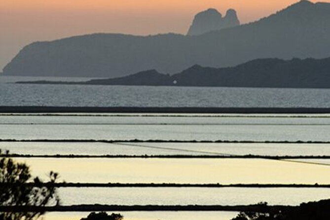 Ibiza: Bicycle Excursion in Las Salinas Natural Park - Exploring Las Salinas Natural Park