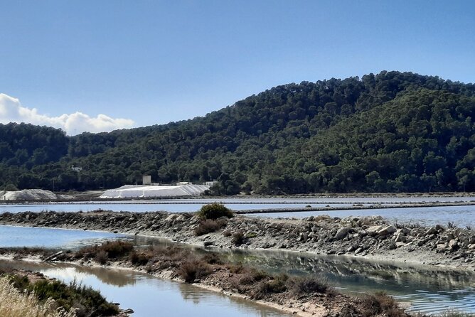 Ibiza: Bicycle Excursion in Las Salinas Natural Park - Highlights and Memorable Moments