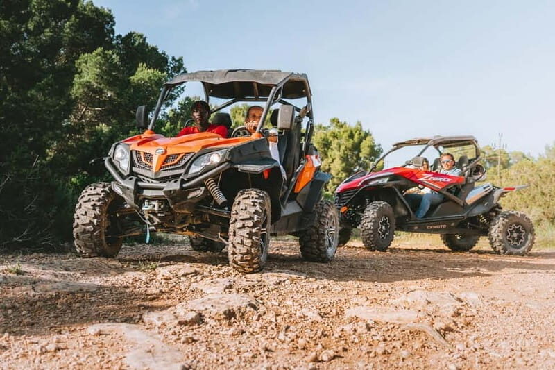 Ibiza: Buggy Sightseeing Excursion - The Sum Up