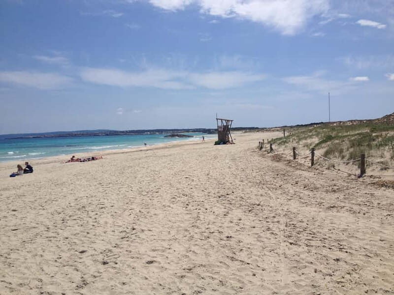 IBIZA day trip to Formentera by bicycle - The Sum Up