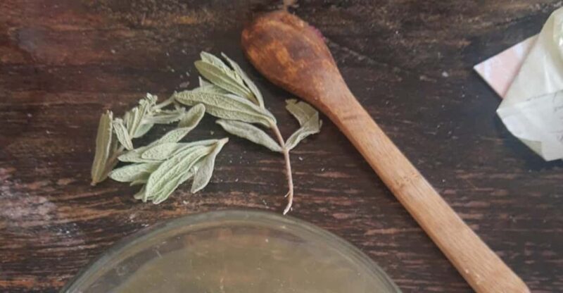 IBIZA : DIY Regenerating & Anti-Red Cream From IBIZA Plants - Medicinal Properties of Cistus