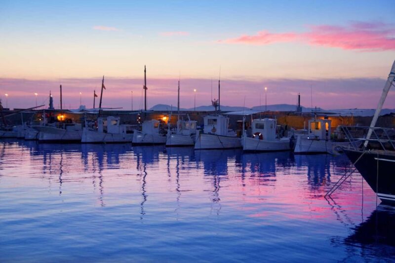 Ibiza: Formentera Boat Cruise With Snorkeling and Lunch - Gleaning From Customer Feedback