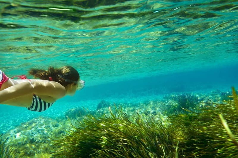 Ibiza: Formentera Secret Beaches Half-Day VIP Cruise - Authentic Feedback from Travelers