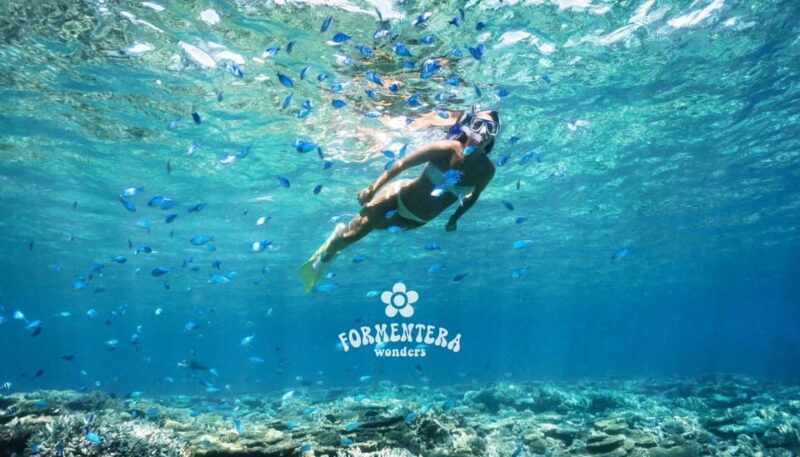 Ibiza: Formentera Wonders Cruise – Food, Drinks & Sports - Key Points