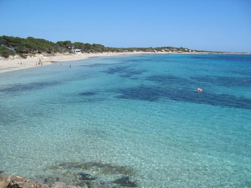 Ibiza: Full-Day Excursion and Visit to a Hippy Market - What to Bring and Restrictions