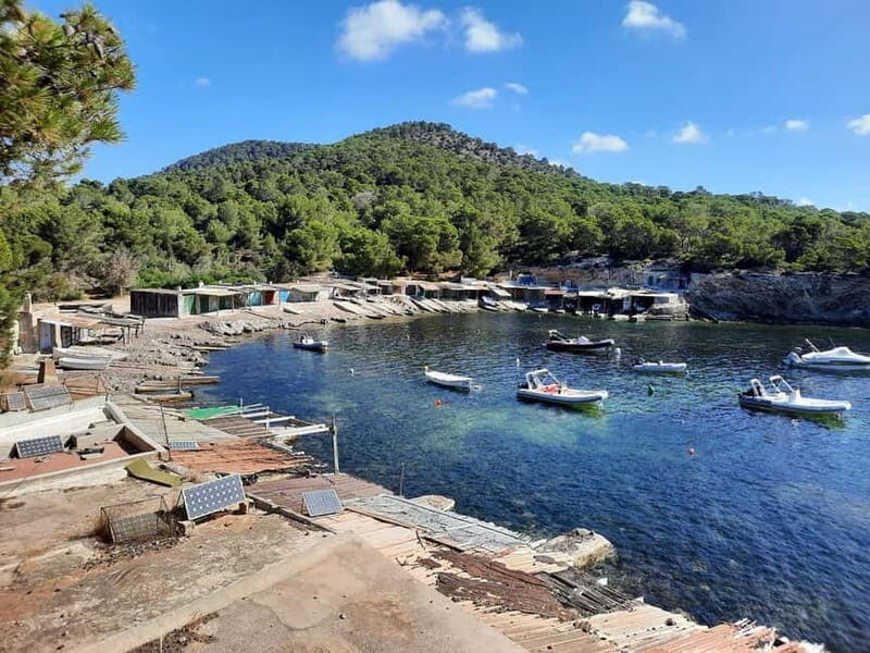 Ibiza Island Tour: Es Vedra, Salt Flats & Hippy Market - Who Should Consider This Tour?