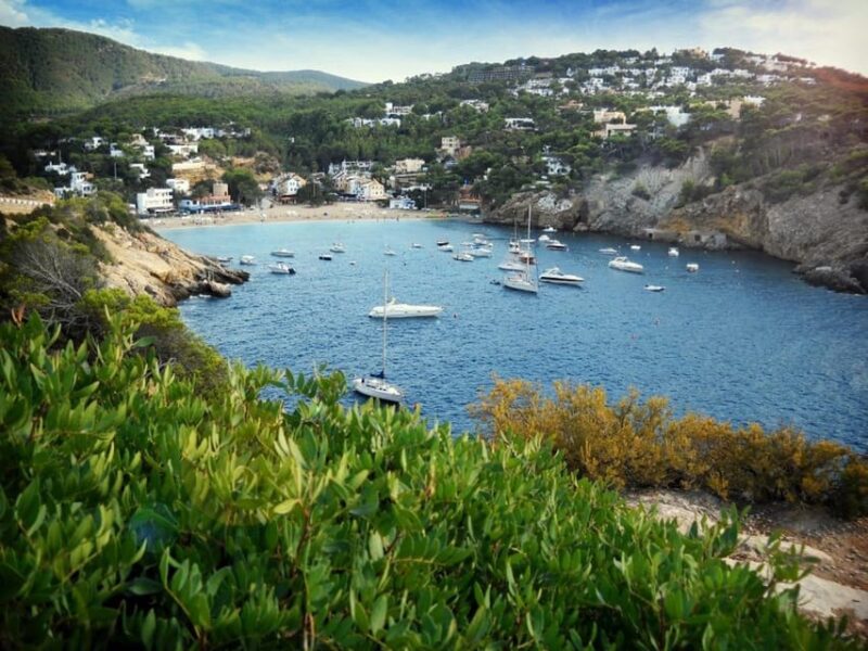Ibiza: Land & Sea (Buggy+Paddle Surf) - Key Points