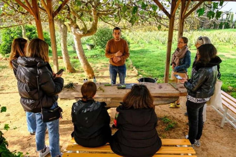 IBIZA : MADE IN IBIZA PRODUCTS (Food and Drink tour) - Who Will Enjoy This Tour?