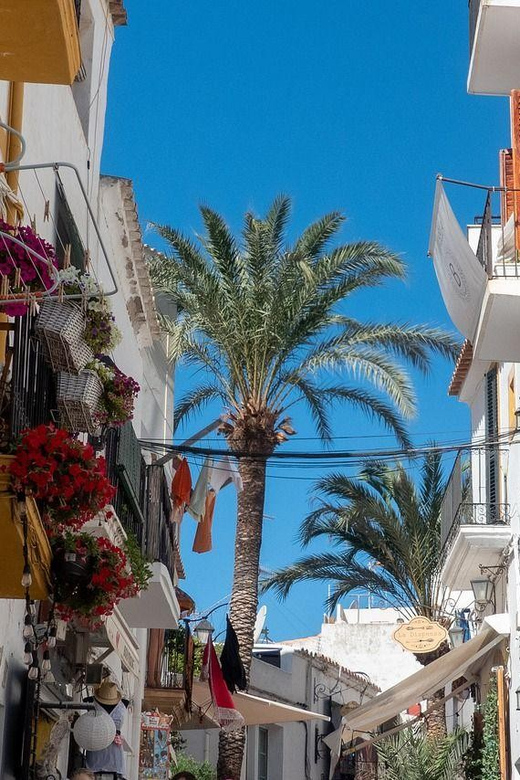 Ibiza Old Town Private Guided Walking Tour - Booking and Practical Information