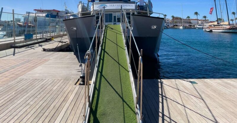 Ibiza: Platja Den Bossa Round-Trip Transfer to Formentera - Experience and Itinerary