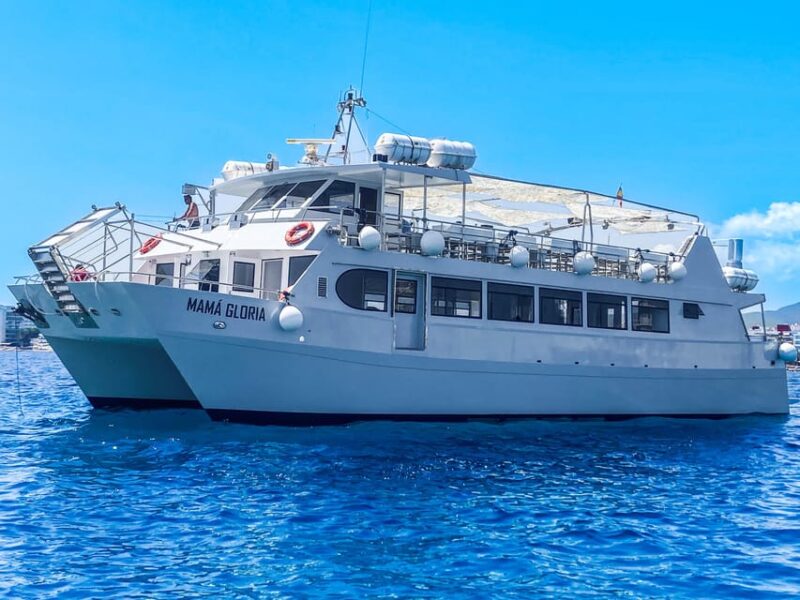 Ibiza: Premium Party on VIP Catamaran With DJS and Disco Entrance - Onboard Welcome and Entertainment