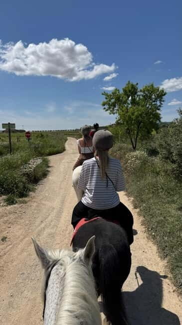 Ibiza: Private Horseback Riding Nature Experience +Transport - Who Should Consider This Tour?