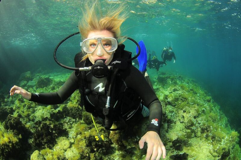 Ibiza Scuba Diving for Beginners and Snorkeling - Pricing and Booking Details