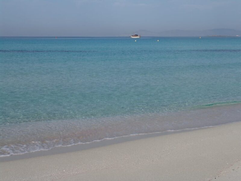 IBIZA Sea Excursion to Illetas With Paella and Drink - Inclusions and Amenities