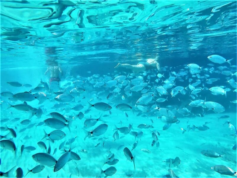 Ibiza: Snorkeling and SUP Paddle, Beach and Cave Boat Tour - Key Points