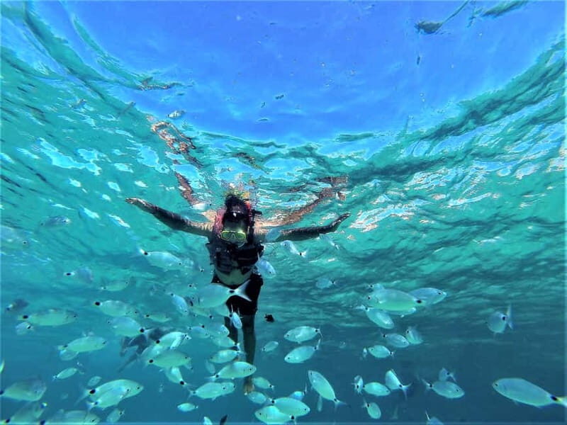 Ibiza: Sunset Coves and Sea Caves Snorkeling Trip - FAQ