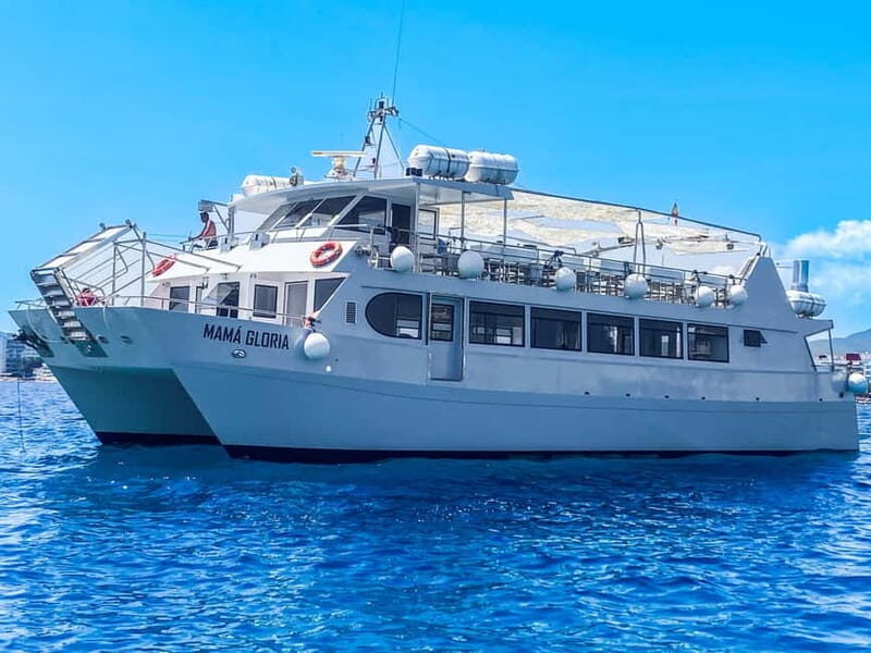 Ibiza: VIP Catamaran Party with Premium Open Bar, Paella and Club Ticket - The Atmosphere & Reviews