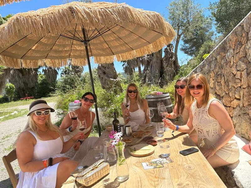 Ibiza Wine Tour: Wine Tasting + Tapas at Winery - Practical Tips for Travelers