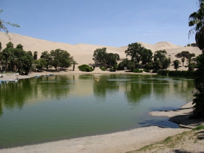 Ica: Bus Station Transfer To/From City Center or Huacachina - Frequently Asked Questions