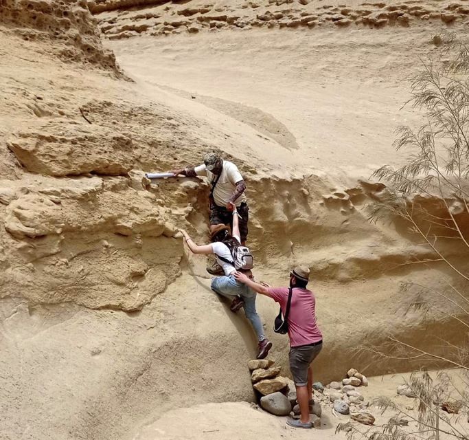 Ica: Canyon of the Lost Tour in Ocucaje Desert - Customer Reviews