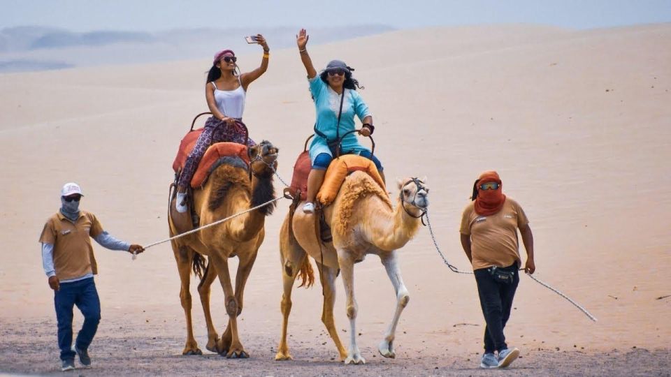 Ica: Dromedaries | Swimming Pool, Games, Mini-Farm | - Daily Itinerary