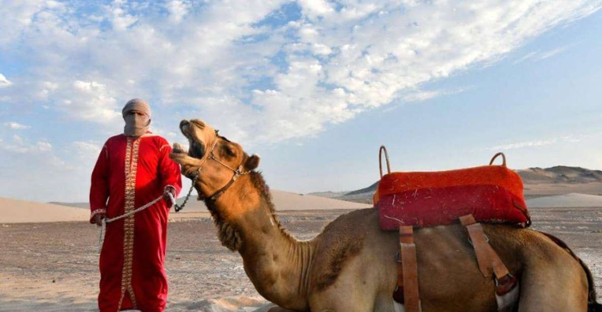 Ica: Dromedaries | Swimming Pool, Games, Mini-Farm | - Included Services