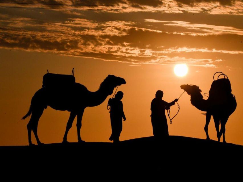 Ica: Dromedaries | Swimming Pool, Games, Mini-Farm | - Recommendations for Visitors