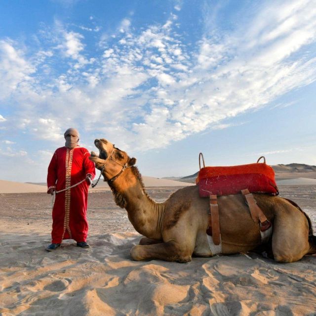 Ica: Dromedaries | Swimming Pool, Games, Mini-Farm | - Prohibited Items