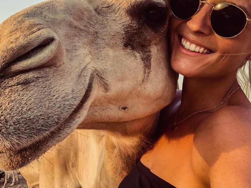 Ica: Dromedaries | Swimming Pool, Games, Mini-Farm | - Nearby Attractions