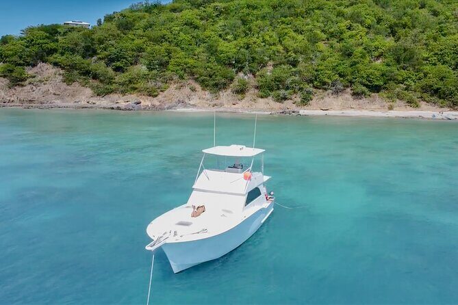 Icacos All-Inclusive Private Boat Tour - Special Rate for Groups - Introduction: Why Consider This Tour?