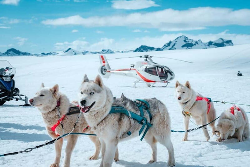 Ice Cave tour with Helicopter - Discover the Magic of Iceland’s Ice Cave and Helicopter Tour
