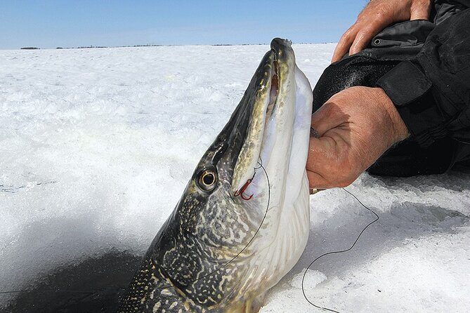 Ice Fishing Tour from Fairbanks - A Closer Look at the Tour Itinerary