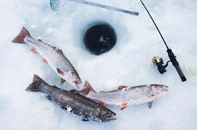 Ice Fishing Tour from Fairbanks - Group Size and Atmosphere