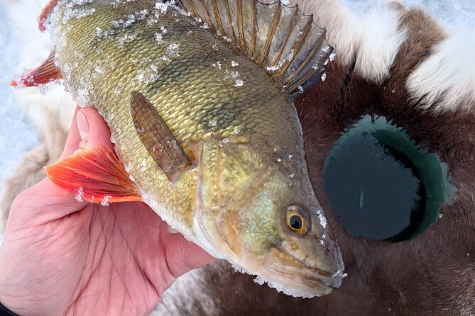 Ice Fishing Trip at Lake Inari - Memorable Outdoor Adventure in Lapland