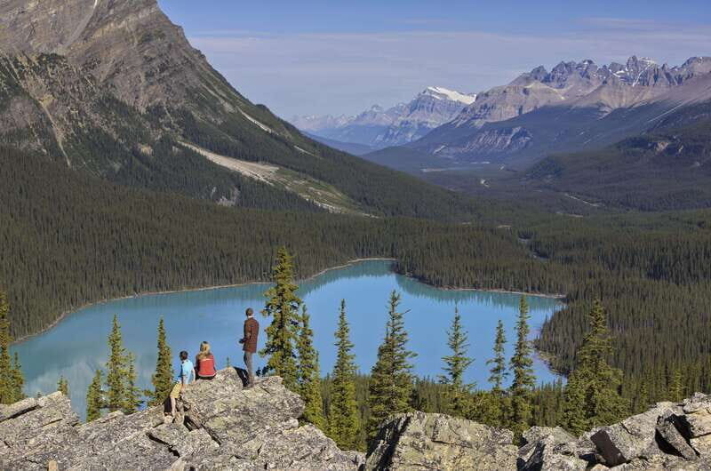 Icefield: Icefield Parkway, Bow Lakes & Peyto Lakes Day Tour - Authentic Experiences and Feedback