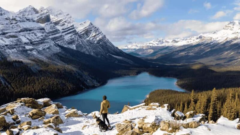 Icefield Parkway, Peyto Lake, Bow Lake & Lake Minnewanka - An In-Depth Look at the Tour Experience