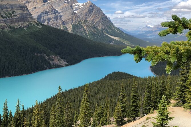 Icefields Pkwy: Lake Louise | Bow Lake | Peyto Lake | Glacier - PRIVATE DAY TOUR - Customer Reviews