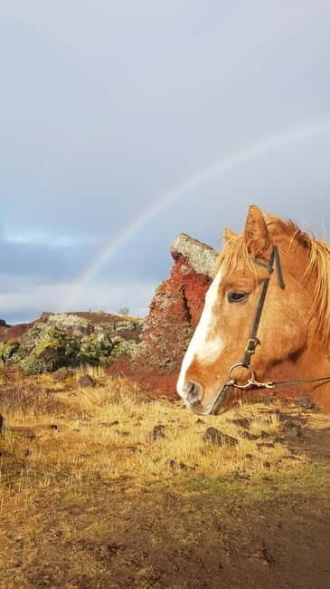 Iceland: Volcanic Landscape Horse Riding Tour - An Authentic Ride in Iceland’s Volcanic Landscape