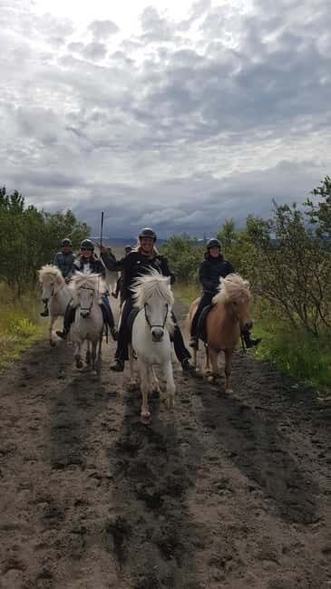 Iceland: Volcanic Landscape Horse Riding Tour - Practical Details: Costs, Timing, and What to Bring