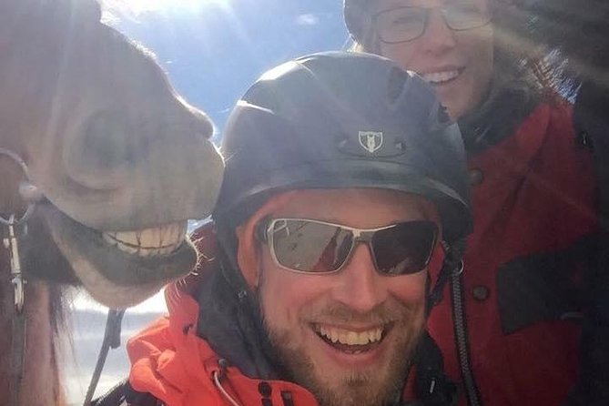 Icelandic Horseback Riding Tour Including Pick up From Reykjavik - Recap