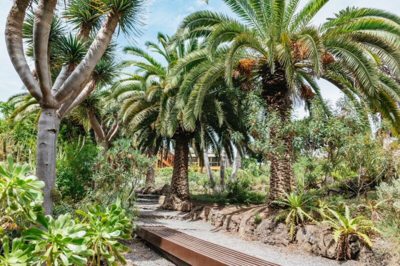 Icod De Los Vinos: Dragon Tree & Botanical Garden Ticket - Local Customs in the Botanical Garden