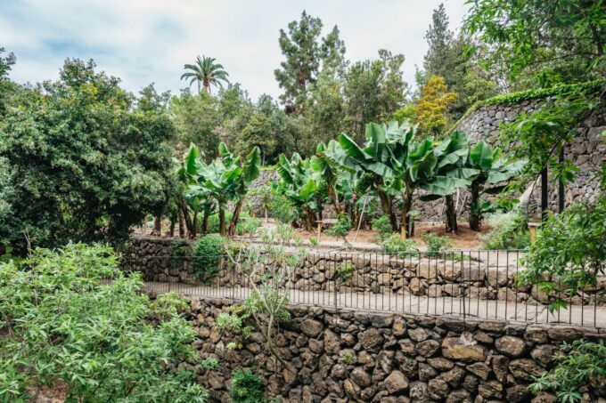 Icod De Los Vinos: Dragon Tree & Botanical Garden Ticket - Approximate Tour Duration