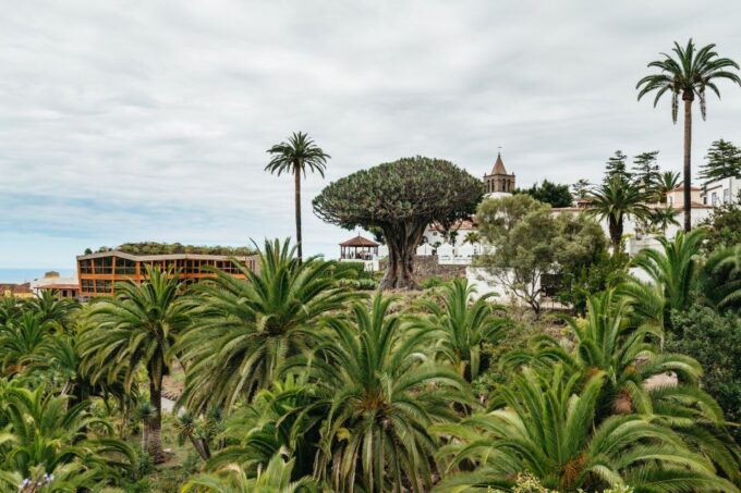 Icod De Los Vinos: Dragon Tree & Botanical Garden Ticket - Meeting Point and Entrance