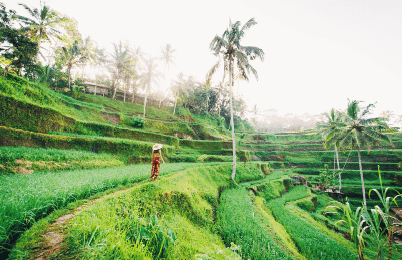 Iconic Bali Day Tour: Best Photo Spots and Experiences - Tour Experience and Reviews