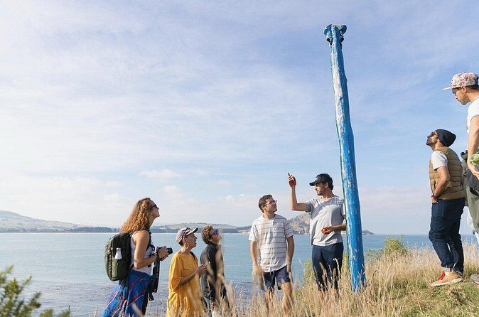 Iconic Dunedin Coastal Tour by Minibus with Maori Cultural Walk - Who Would Love This Tour?