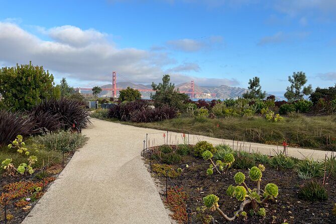 Iconic San Francisco Urban Hiking Tour - Exploring San Francisco on Foot: An Honest Look at the Iconic Urban Hiking Tour