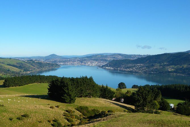 Iconic Shore Excursion: Dunedin City Highlights Tour - Who Should Consider This Tour?
