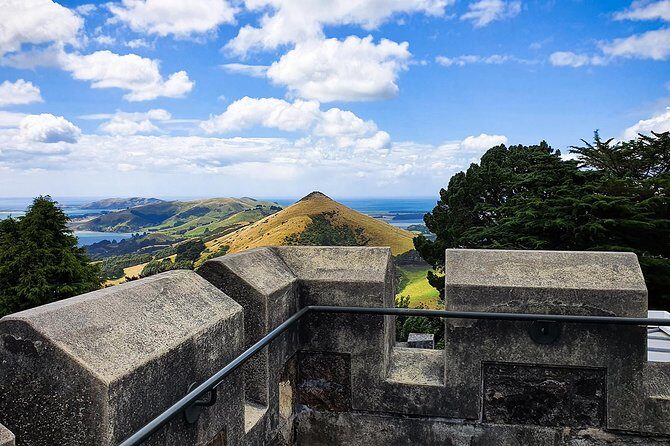 Iconic Shore Excursion: Iconic Larnach Castle Tour - Who Will Love This Tour?