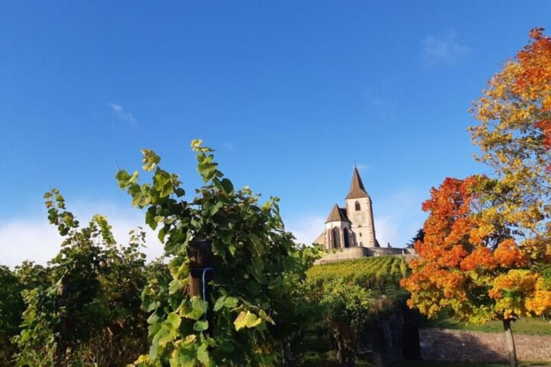 Iconics Typical Villages & Haut Koenigsbourg Castle - Itinerary Highlights