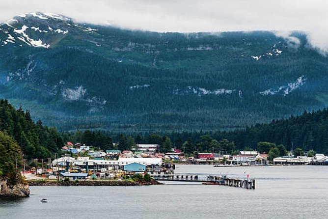 Icy Strait Shore Excursion: Whale Watching Adventure Tour - Booking and Cancellation Policy